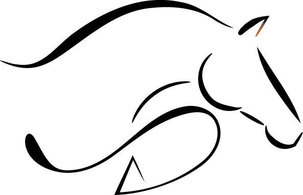Logo définitif v2 puce